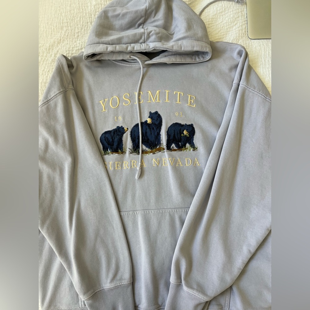 brandy melville oversized hoodie